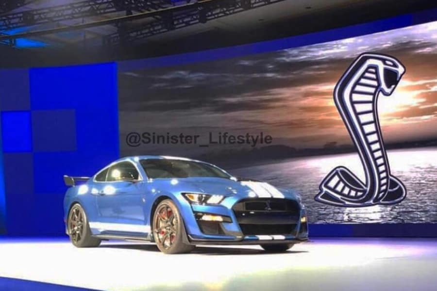 Il Cobra svelato, prima immagine di Mustang Shelby GT500