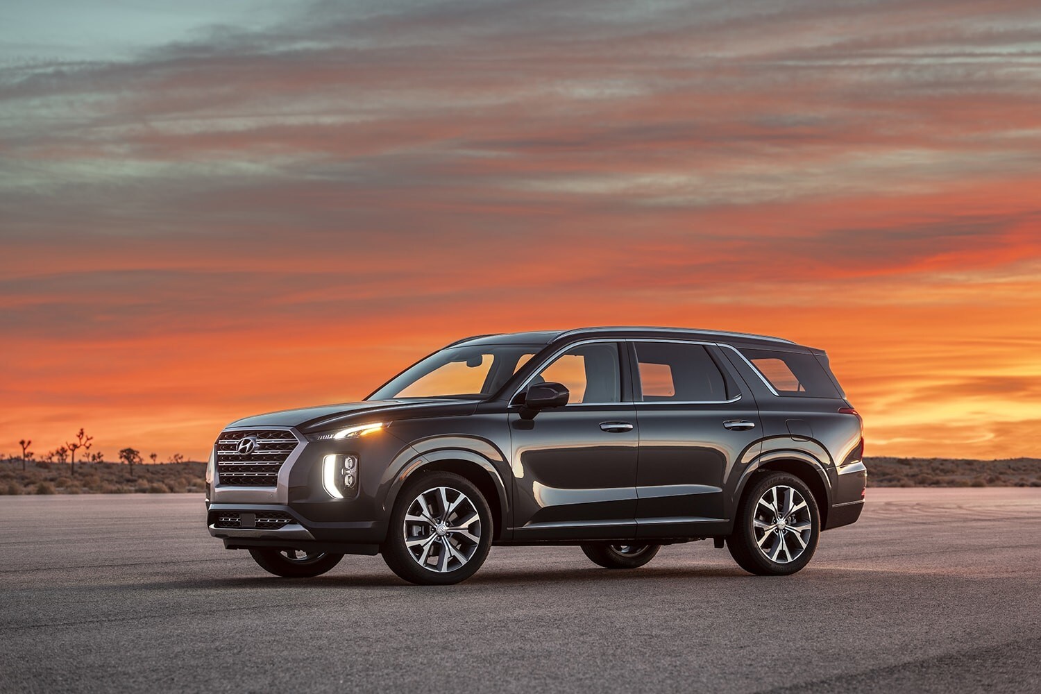 Hyundai Palisade, ammiraglia a ruote alte per gli USA