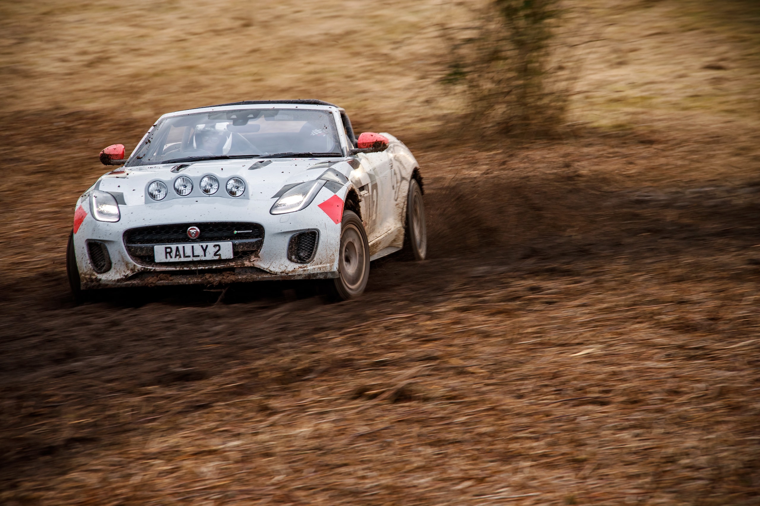 Video: Jaguar F-Type Rally, a tutto fango