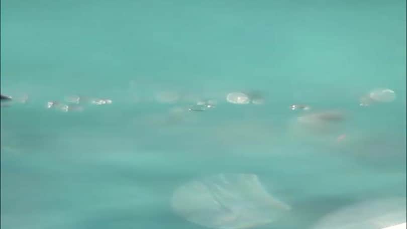 Aston Martin V12 Speedster: il video