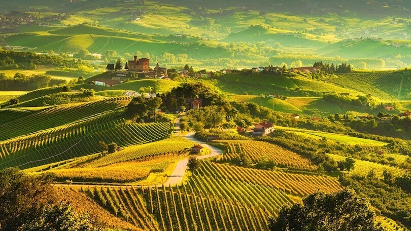 Alba e Langhe: vigneti e castelli, Barolo e tartufi