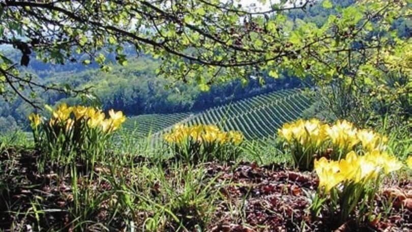 Sacro Monte di Crea, un viaggio tra spiritualità e natura