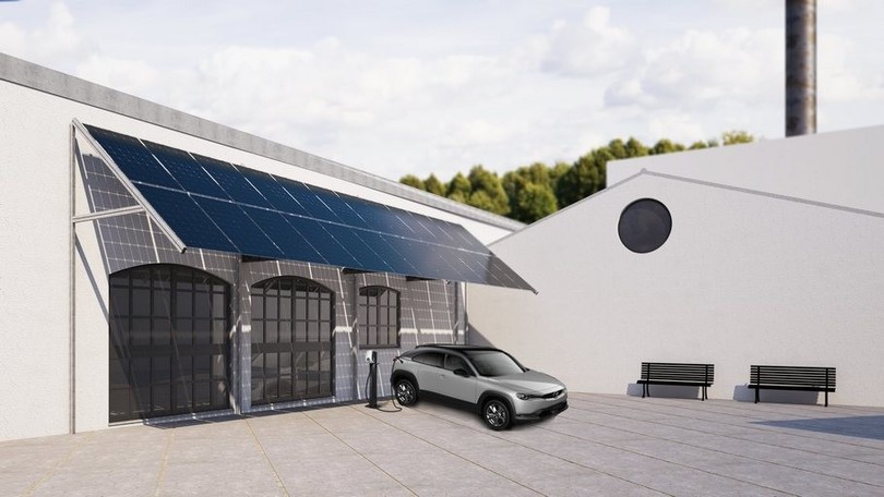 Mazda, forte come una quercia