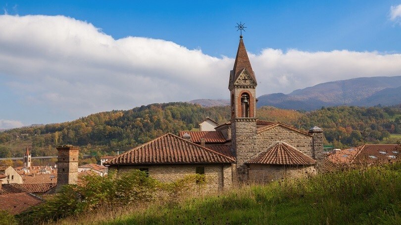 Foreste casentinesi: Romagna selvaggia