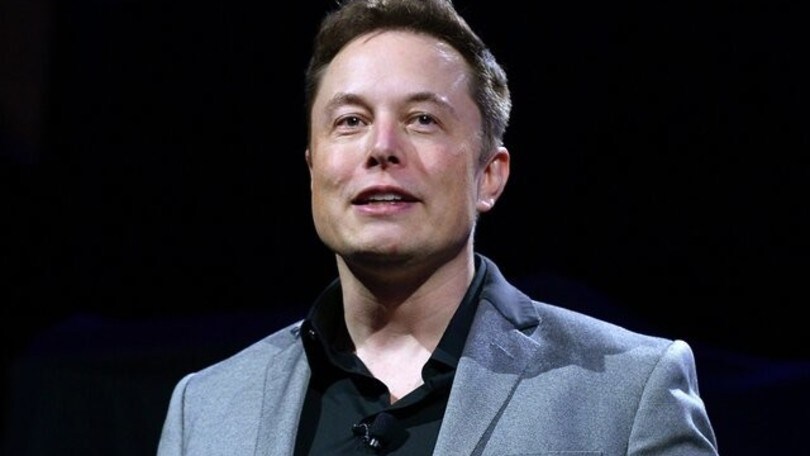 Musk sfida Putin: "Combatti con me a mani nude, in palio l'Ucraina"