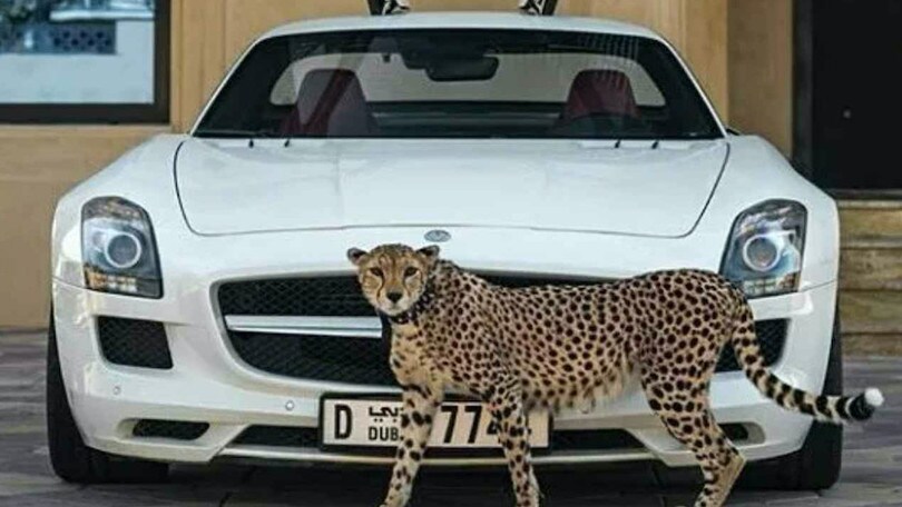 Scioccante scoprire cosa fanno le celebrità in Medio Oriente!