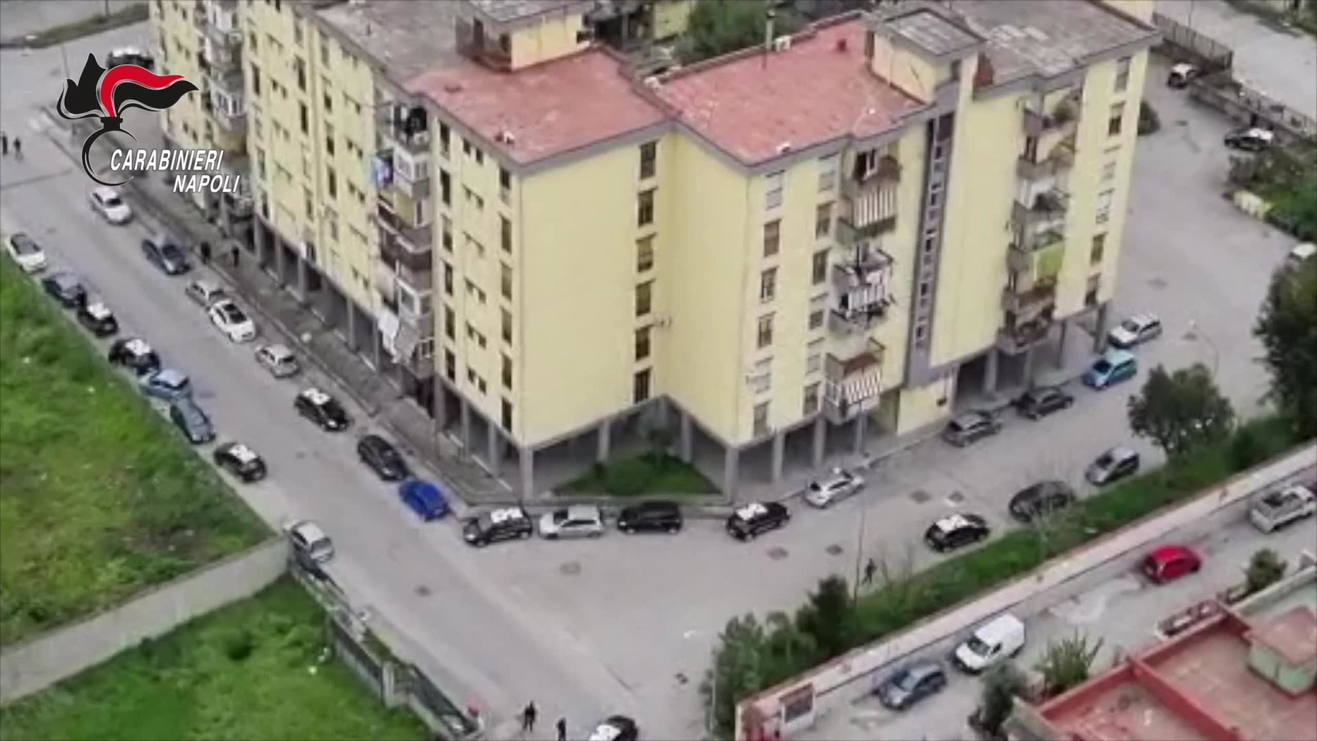 Minorenne al volante: il video su TikTok del 12enne e cosa rischia