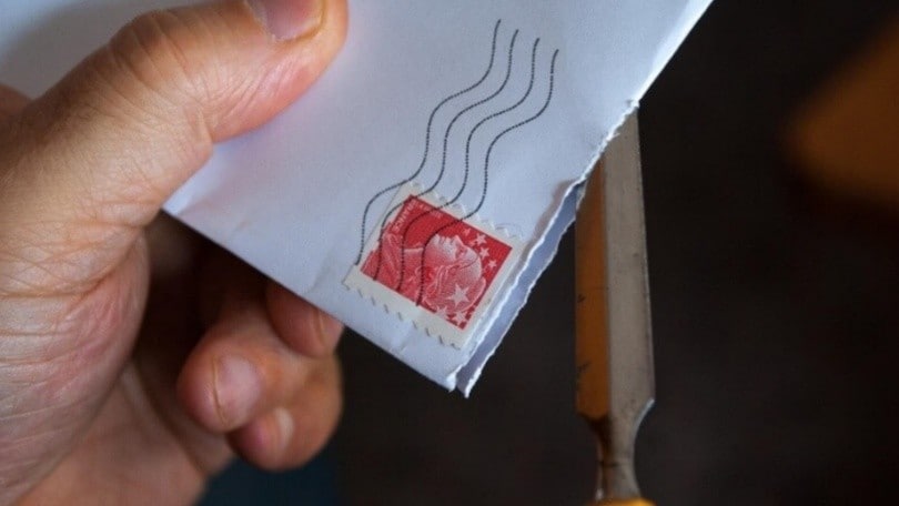 Si sbagliano a pagare la multa: versano 35mila euro anziché 62