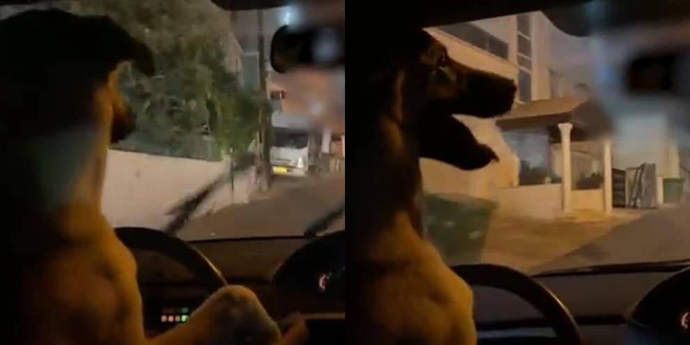 Arrestato per guida spericolata: aveva fatto guidare l'auto al cane