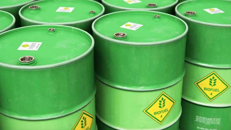 Biocarburanti ed e-fuel: l'alternativa possibile ai carburanti fossili?