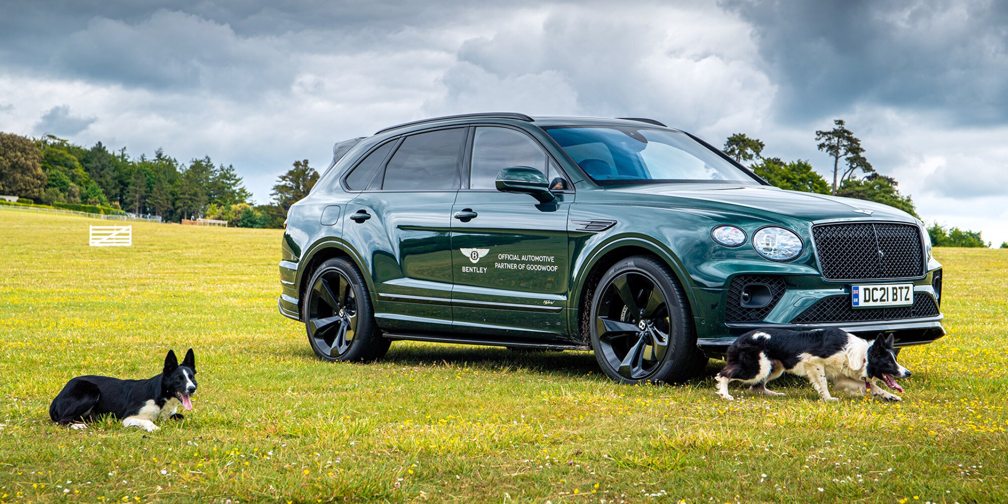 Bentley partner di Goodwoof, festival dedicato ai cani