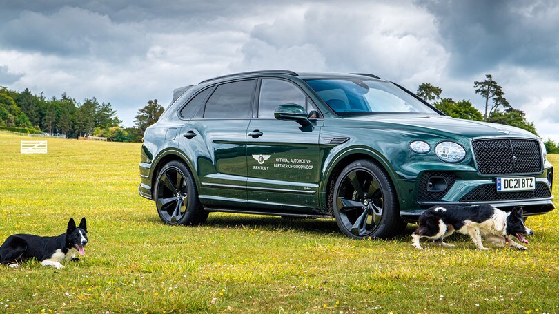 Bentley partner di Goodwoof, festival dedicato ai cani