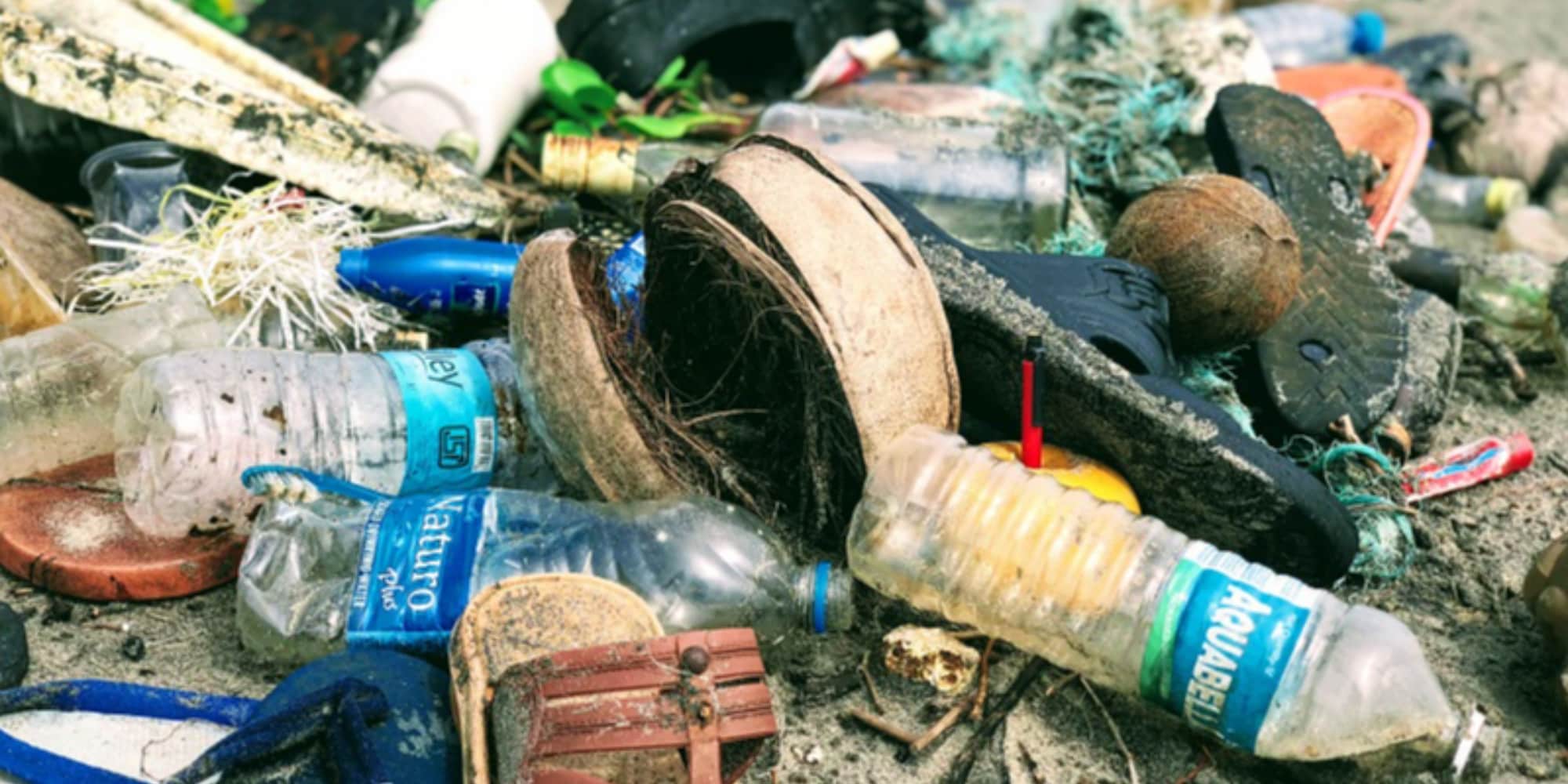 L'86% degli italiani non sa che la salvaguardia dell'ambiente è in Costituzione
