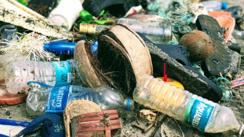 L'86% degli italiani non sa che la salvaguardia dell'ambiente è in Costituzione