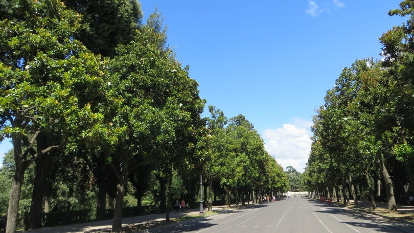 ROM-E, le collaborazioni per l'evento eco-friendly