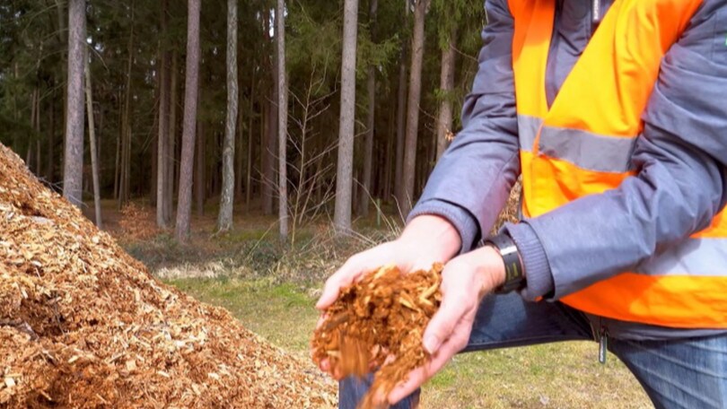 BMW, dal 2025 produzione più sostenibile: ecco come