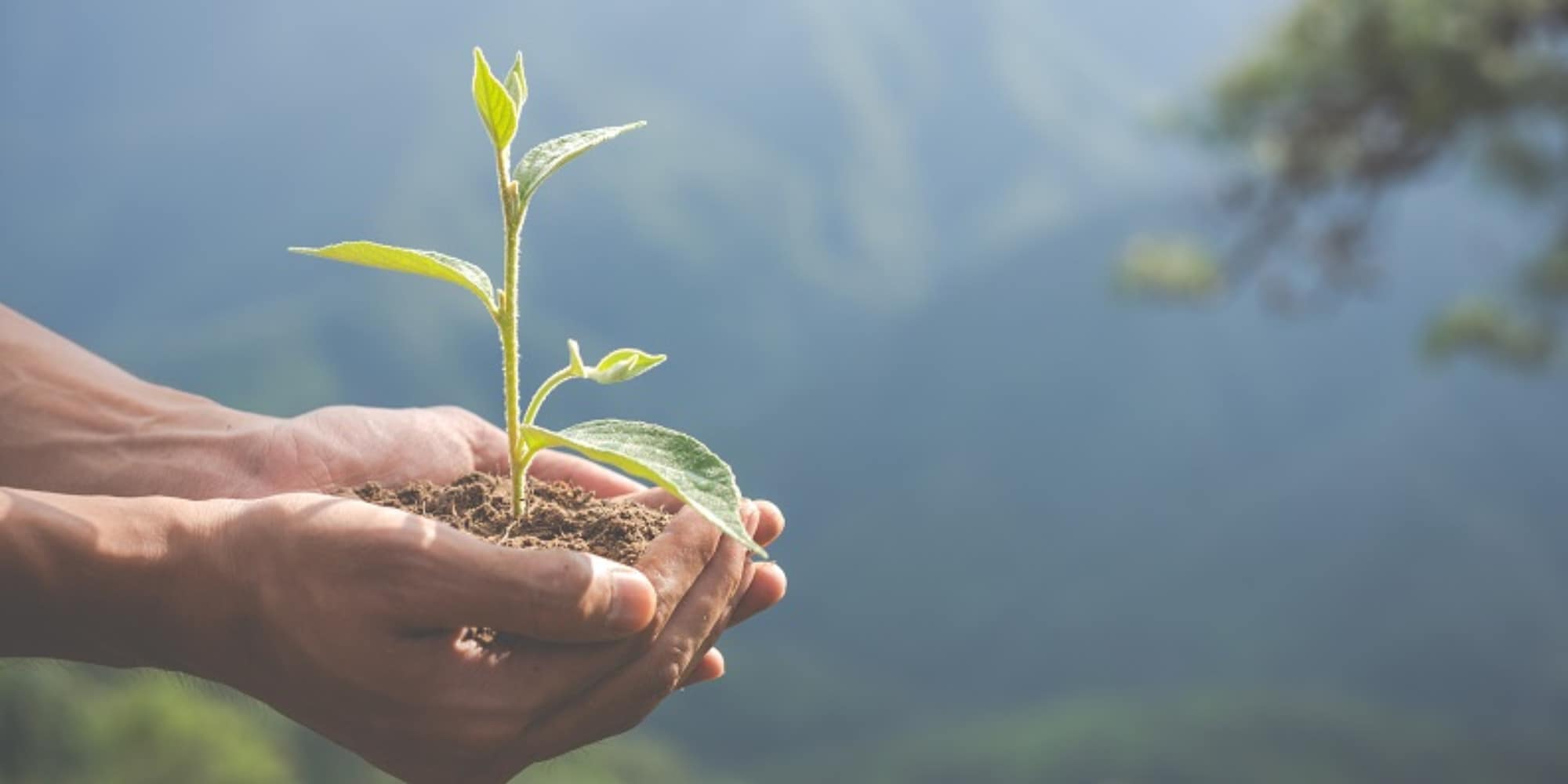 Per gli italiani la salvaguardia dell'ambiente è una cosa seria