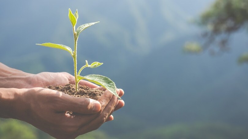 Per gli italiani la salvaguardia dell'ambiente è una cosa seria