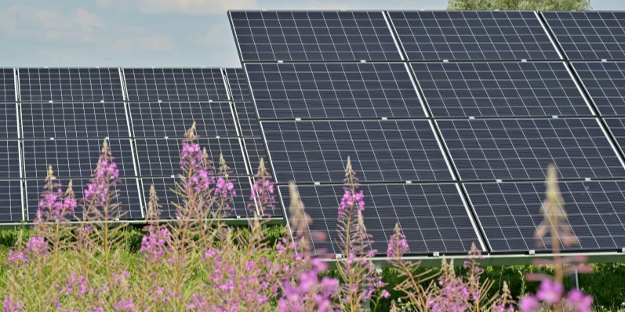 Fotovoltaico, Brescia è la regina d'Italia