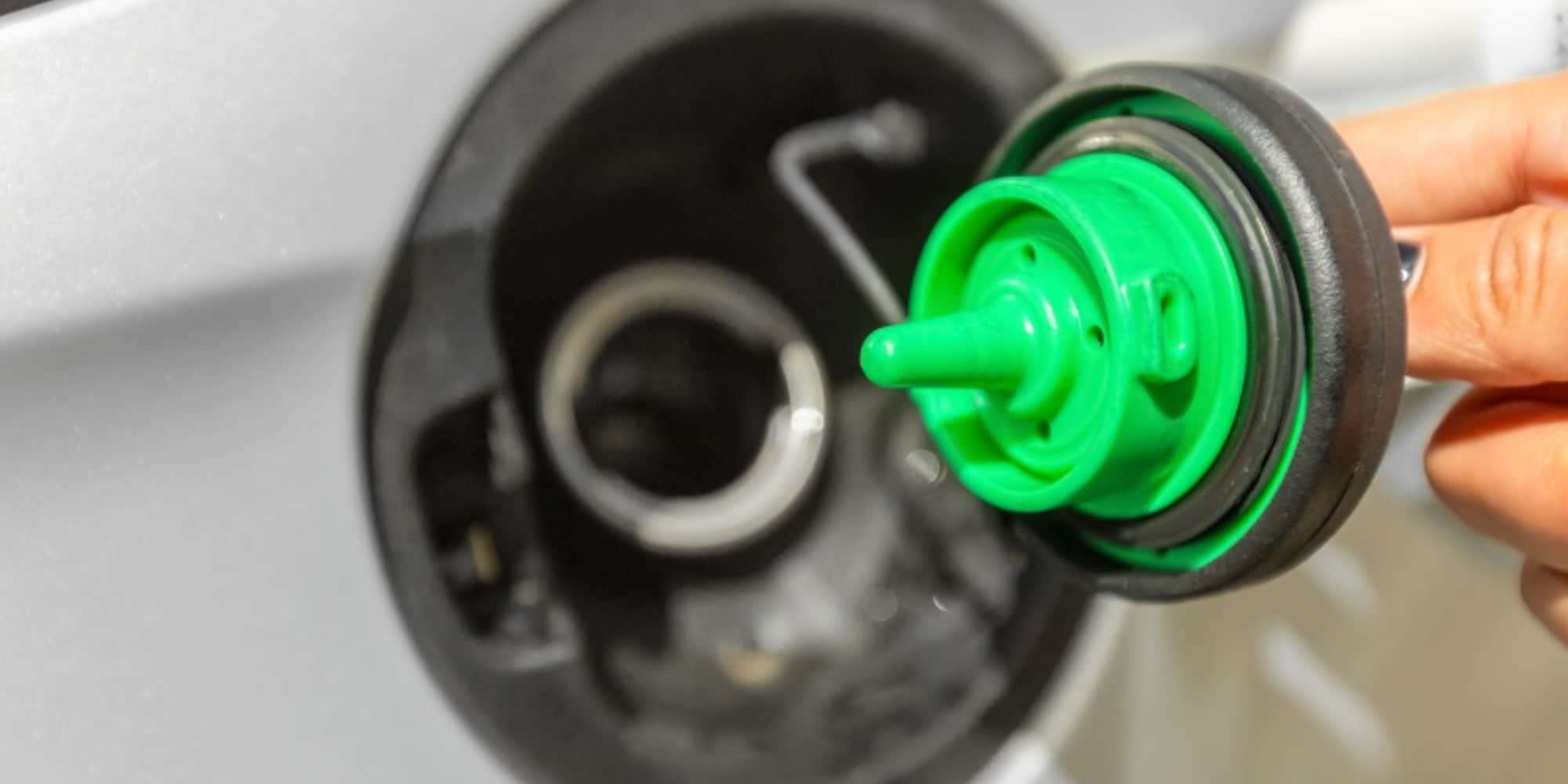 L'UE apre ai biocarburanti e chiede il rinvio dell'Euro 7