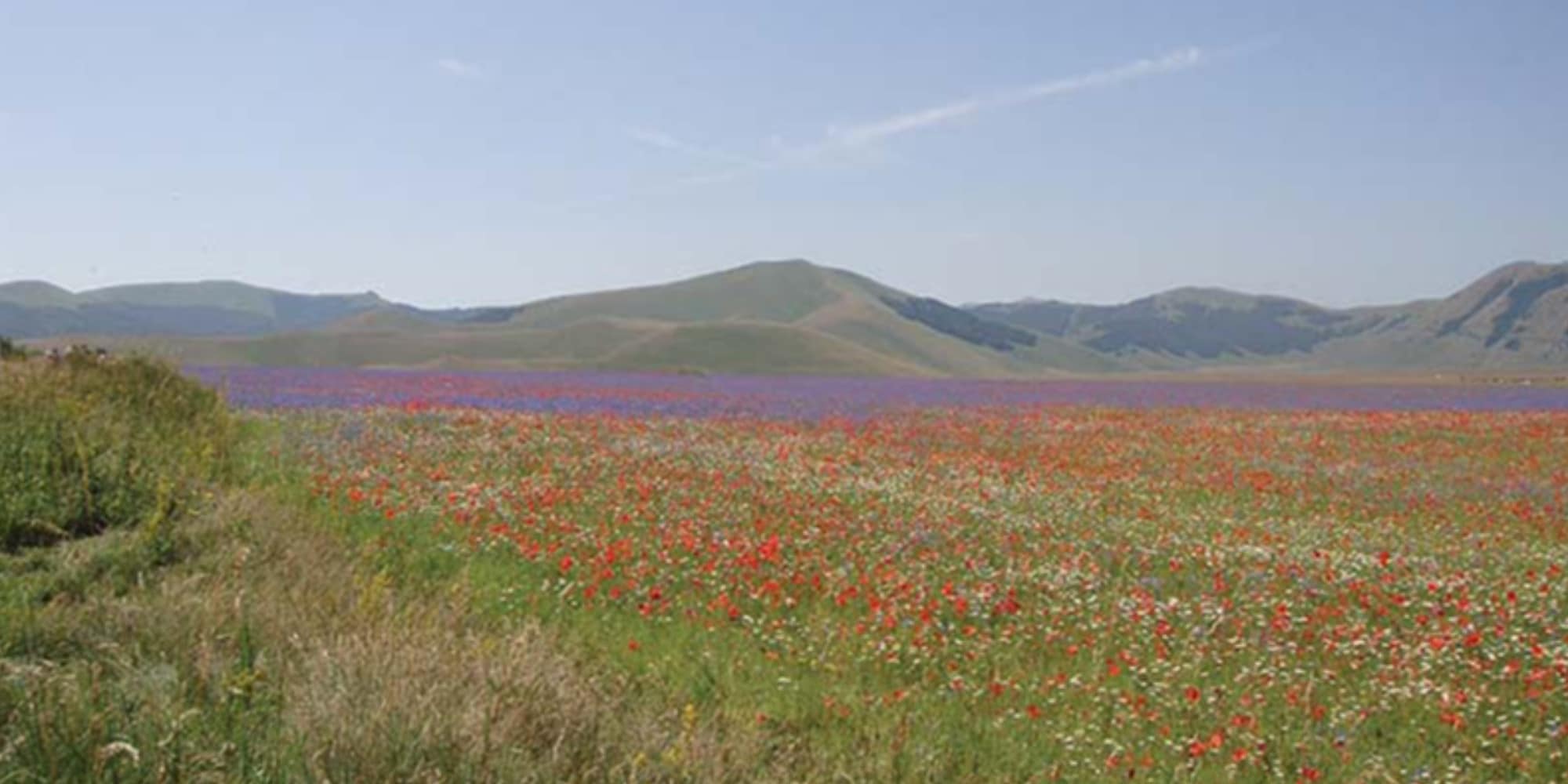 "Ambiente e gestione sostenibile delle risorse naturali", la prima laureata in Italia