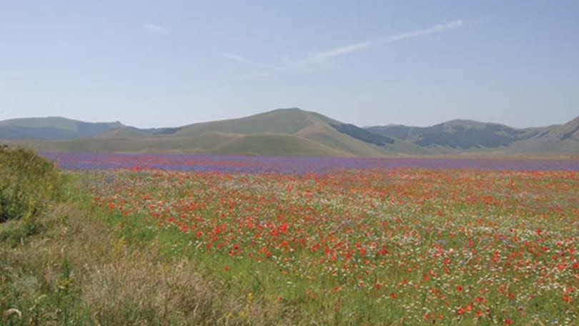 "Ambiente e gestione sostenibile delle risorse naturali", la prima laureata in Italia