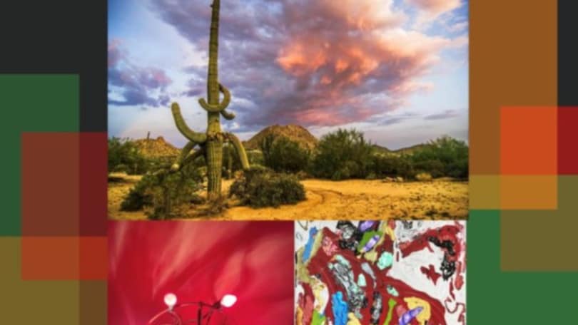 L'importanza di difendere l'ambiente: la mostra italiana a New York