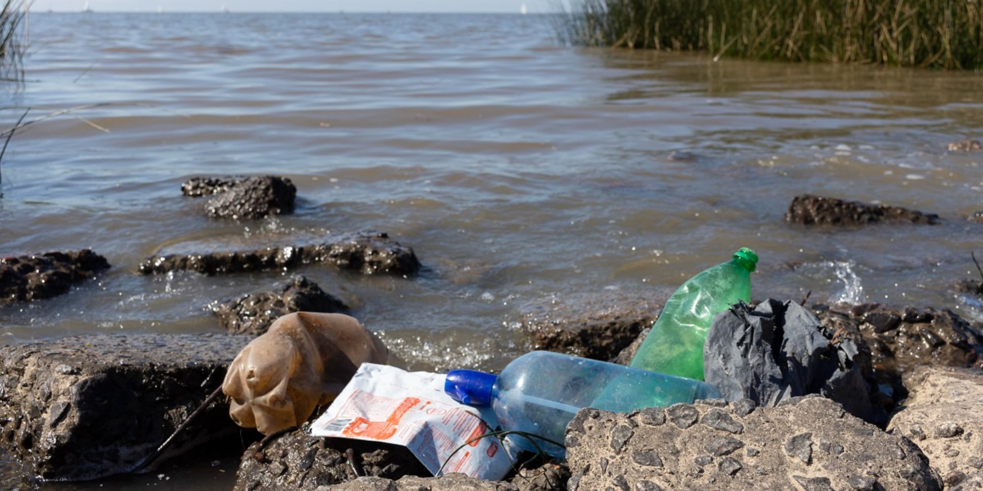 Mari e laghi inquinati, in Italia numeri non positivi