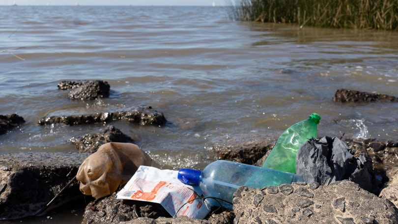 Mari e laghi inquinati, in Italia numeri non positivi