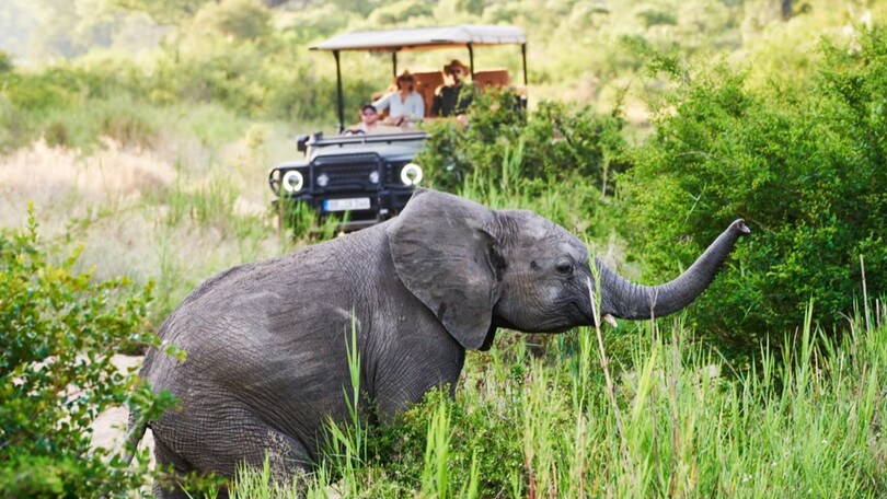 Ineos Kavango, dalla Botswana la trasformazione dei mezzi speciali