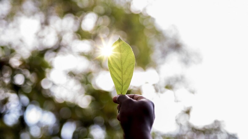 Toyota lancia Open Labs per un futuro sostenibile