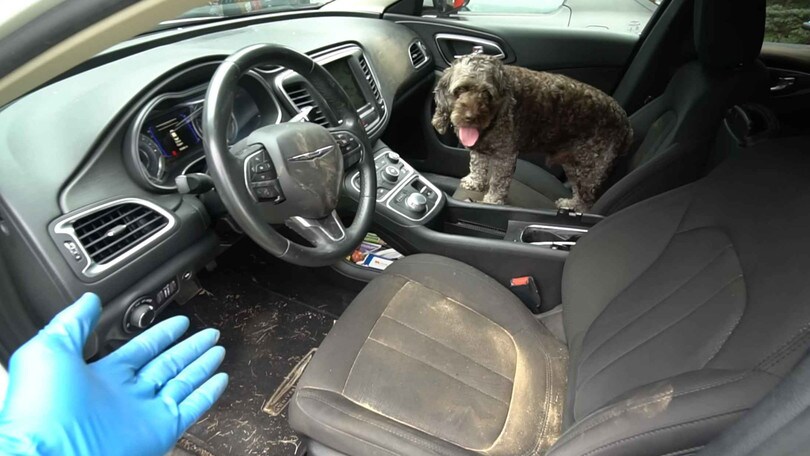 Come pulire al meglio gli interni dell’auto