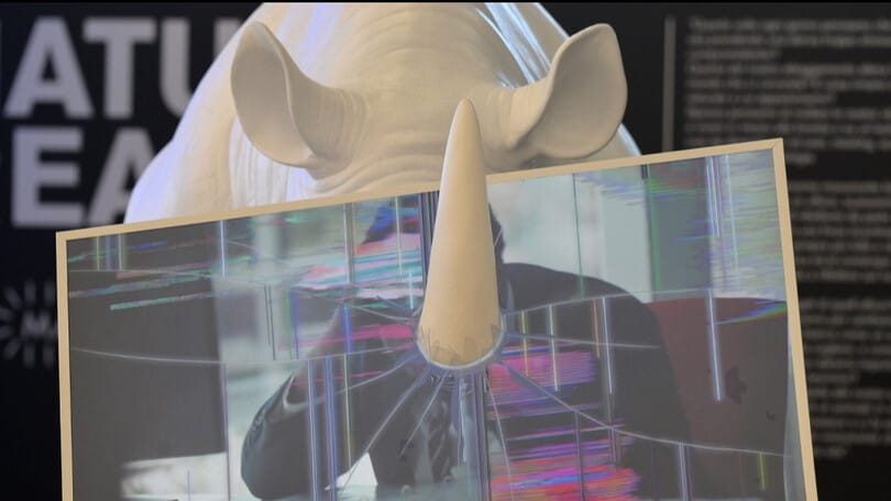 A Fiumicino un'opera d'arte a tutela dell'ambiente