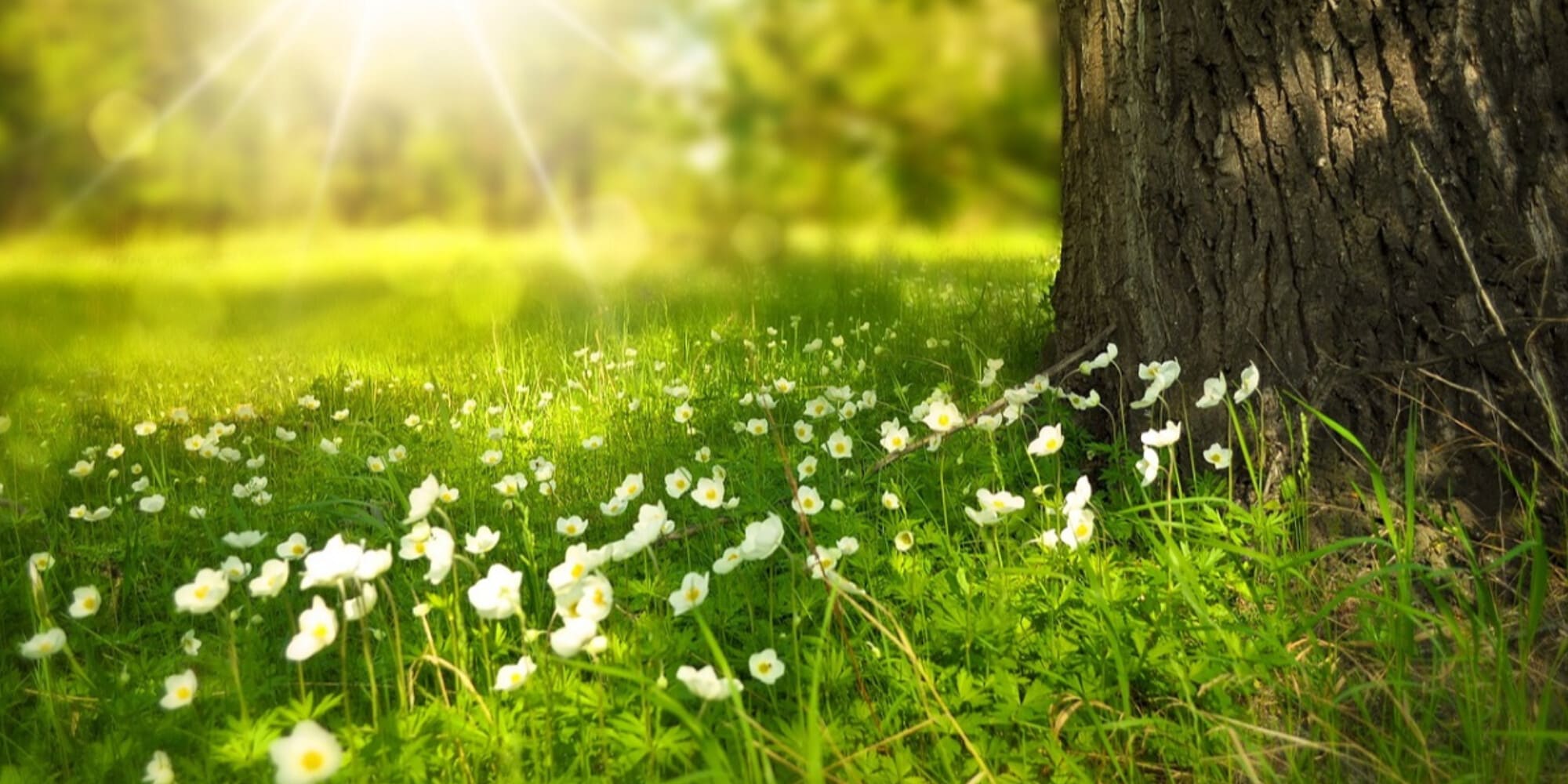 La salvaguardia dell'ambiente comincia dai bambini