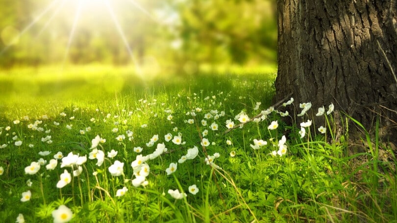 La salvaguardia dell'ambiente comincia dai bambini