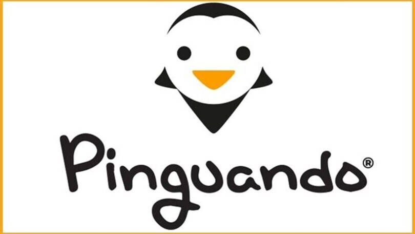 Pinguando, l’assicurazione in 4 click