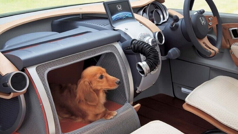 Con Honda WOW cani e gatti viaggiano comodi insieme al padrone