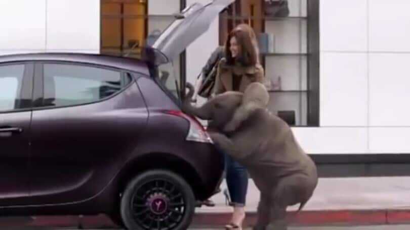 Lancia Ypsilon, l'iconico e dolcissimo spot tv con l'Elefantino