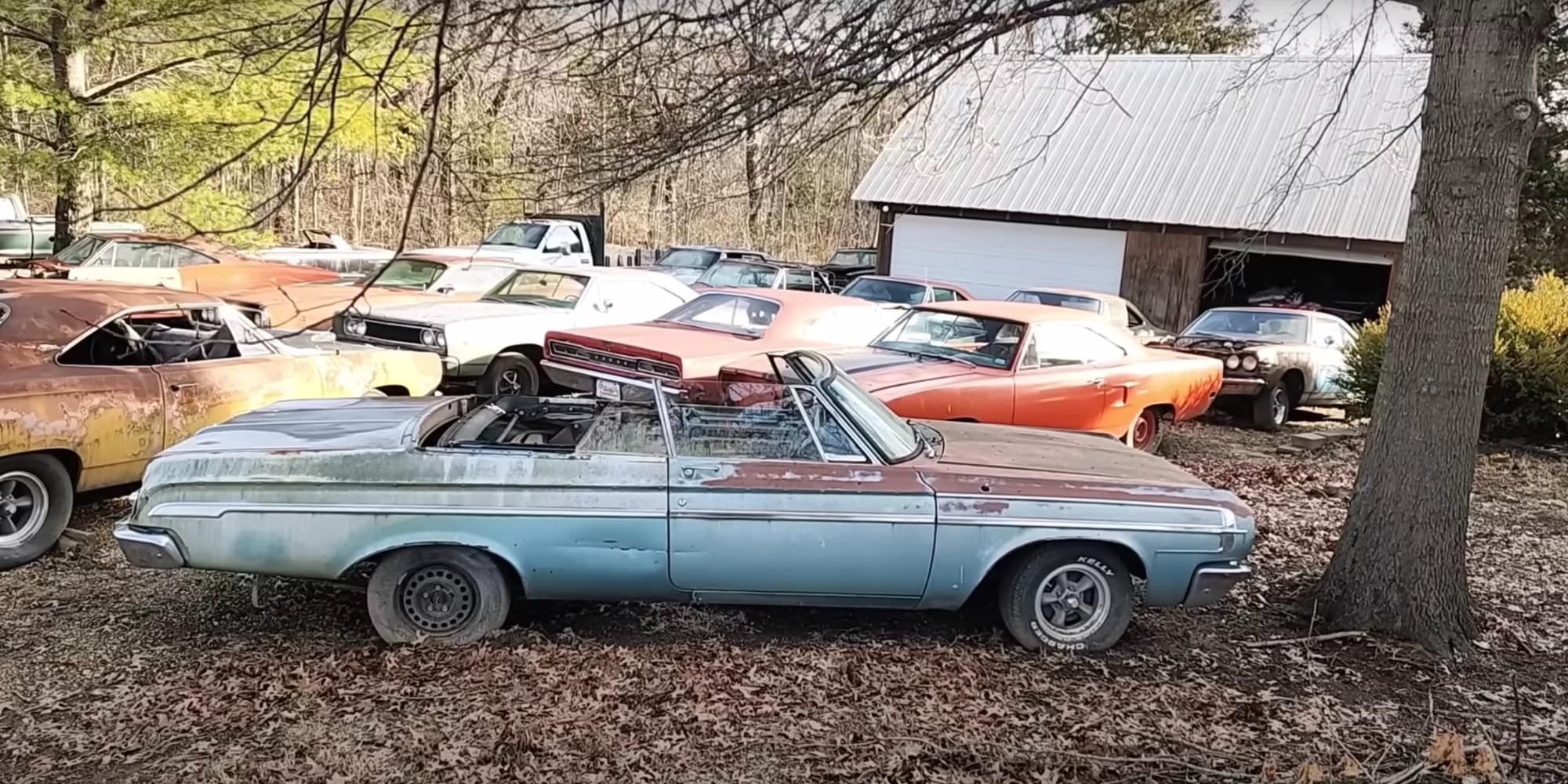 Scoperto un fienile di auto abbandonate: è il paradiso delle muscle car