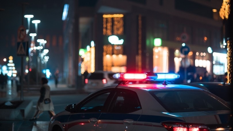 Oltre 200 auto rubate e con documenti falsi sequestrate dalla Polizia