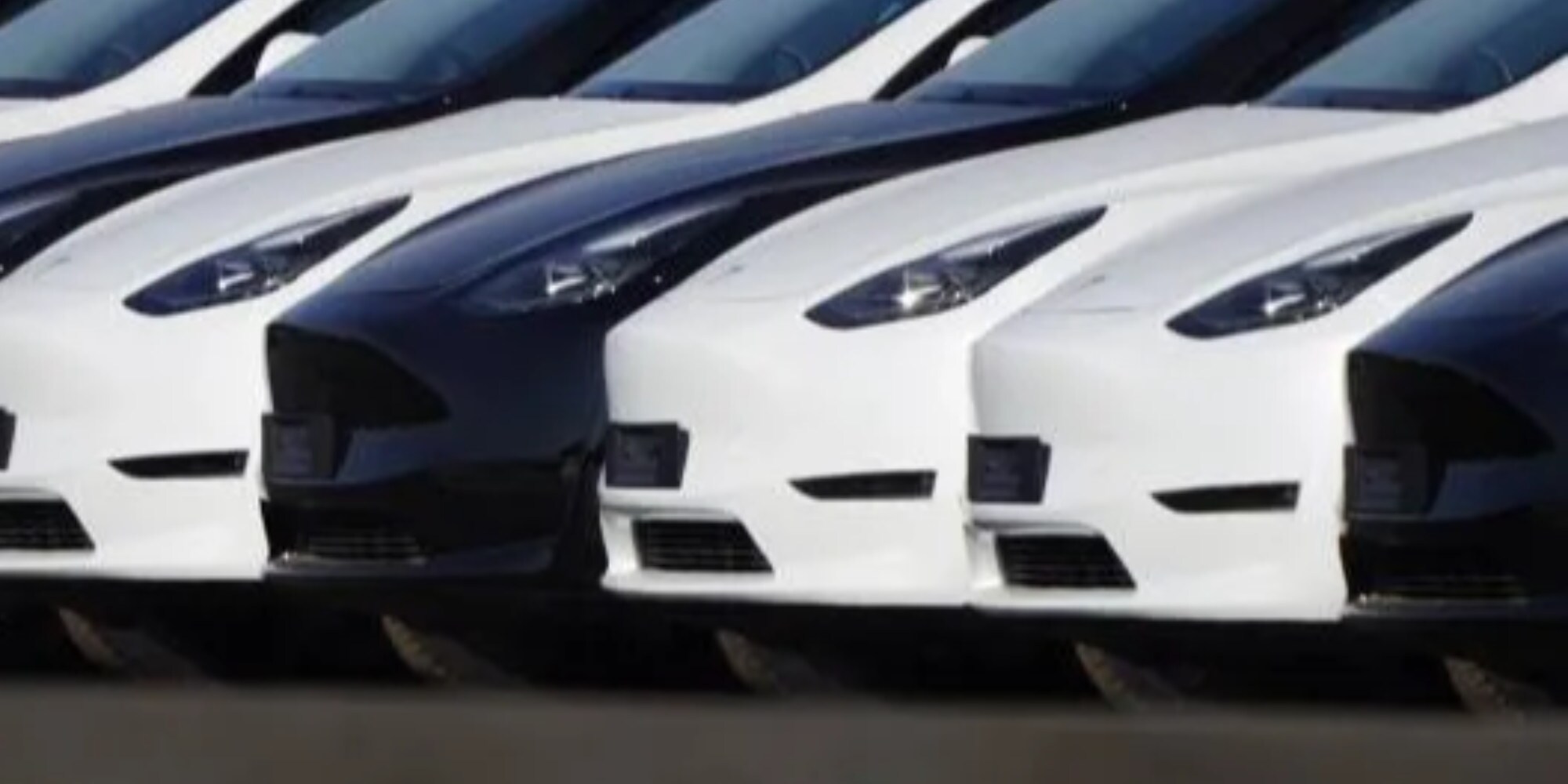 I dubbi su Tesla Model 2, Musk furioso smentisce