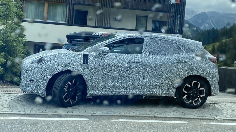 Muletti Ford Puma Gen-E