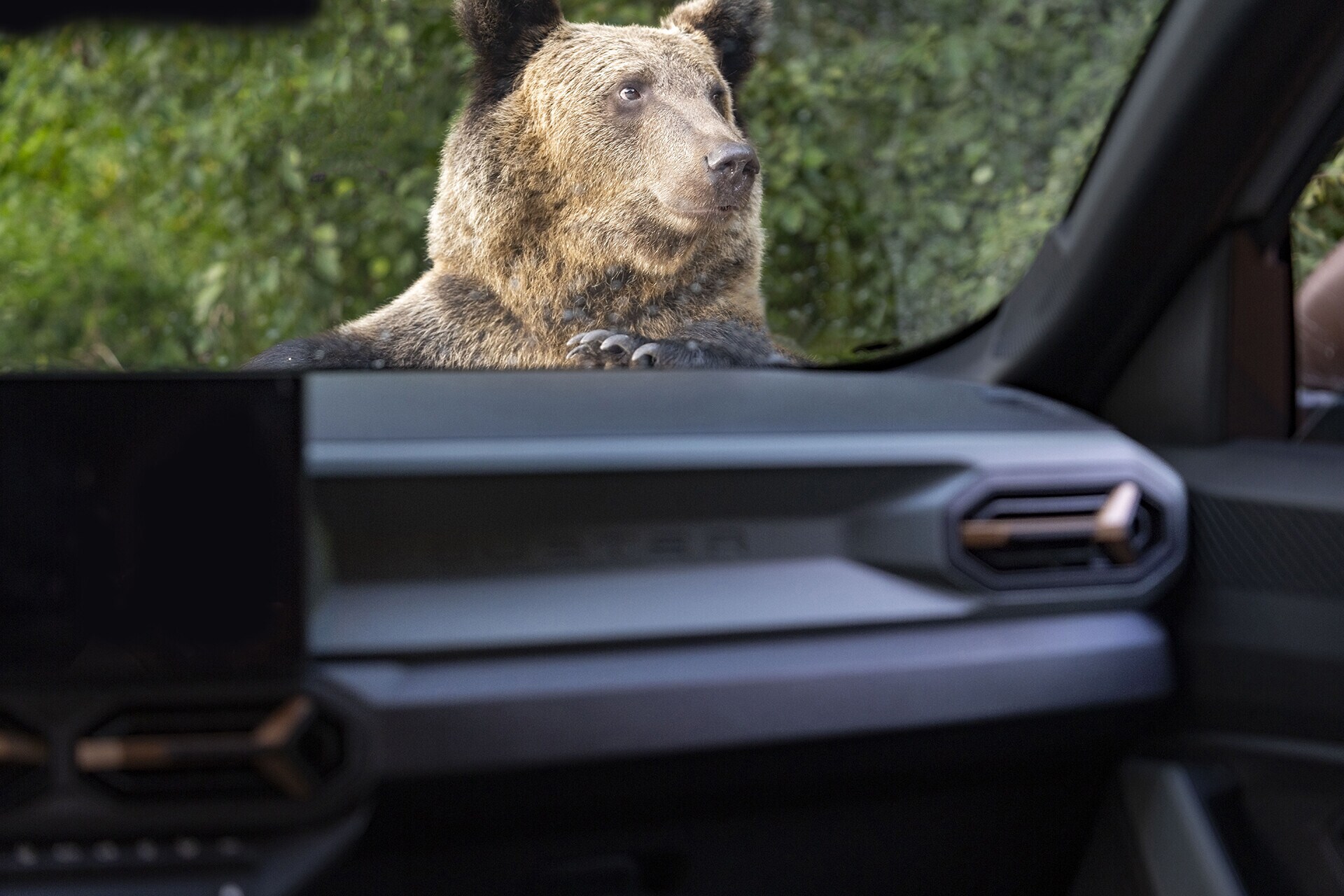 Dacia Duster Transfagarasan Experience, la prova (anche in offroad)
