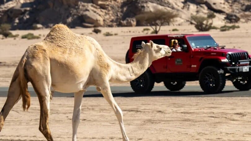 Richard Mille al Rally A'Shira, l'evento che omaggia donne e motori