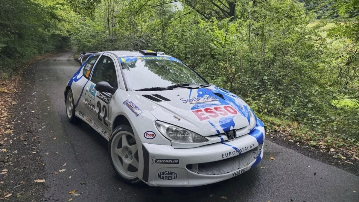 Peugeot 206 WRC, la replica fedelissima è in vendita