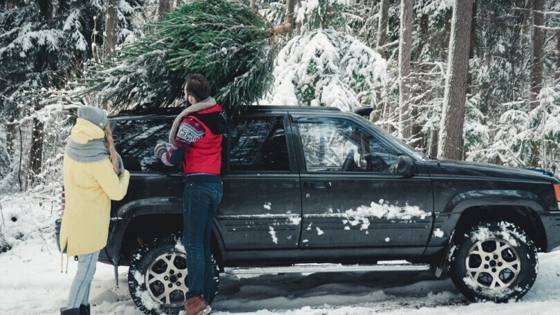 Come trasportare l'albero di Natale in auto? Ecco le regole da seguire