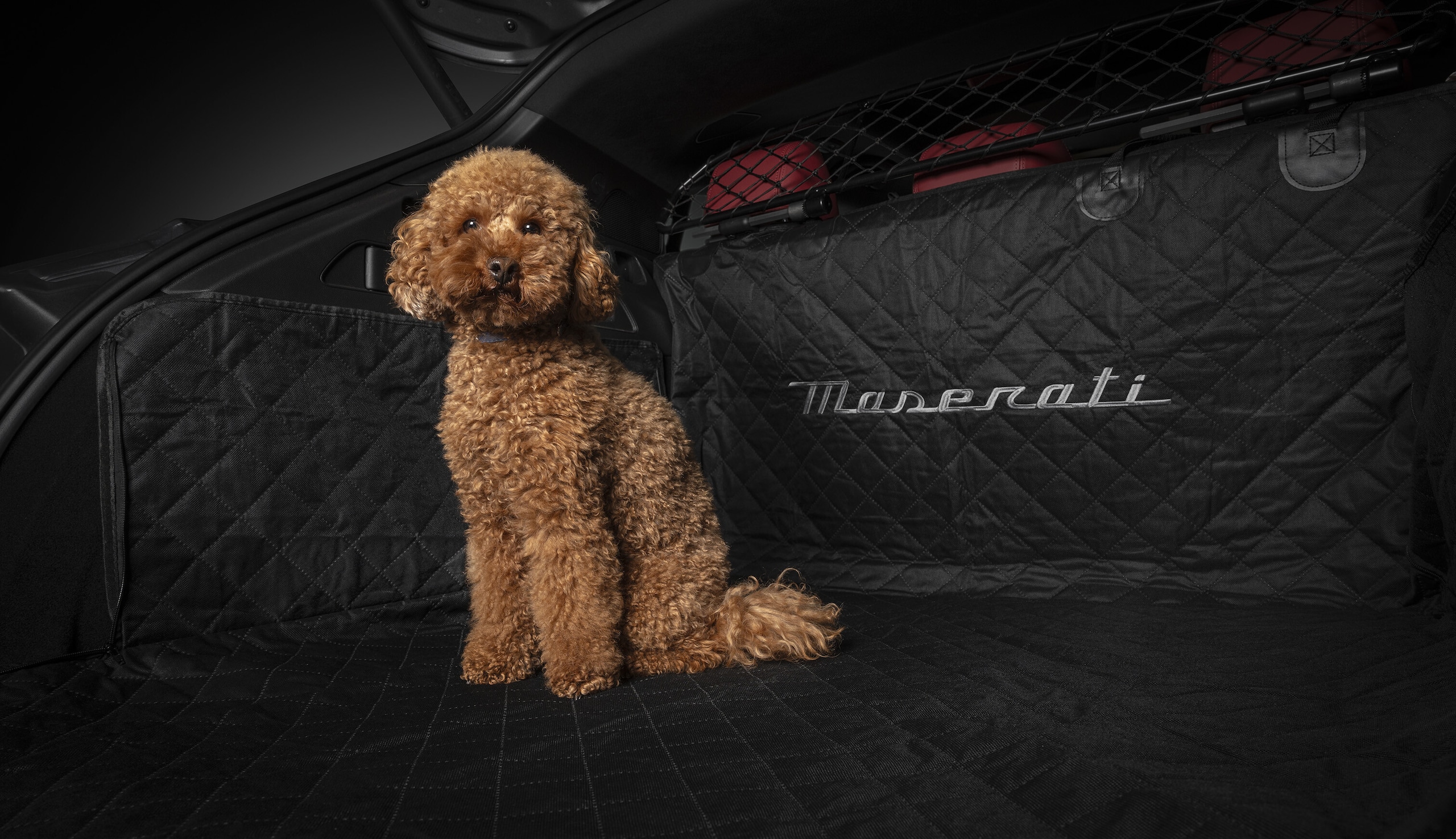 Accessori Originali Maserati per animali, per il lusso a 4 zampe