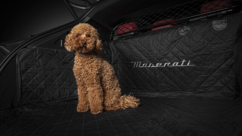 Accessori Originali Maserati per animali, per il lusso a 4 zampe