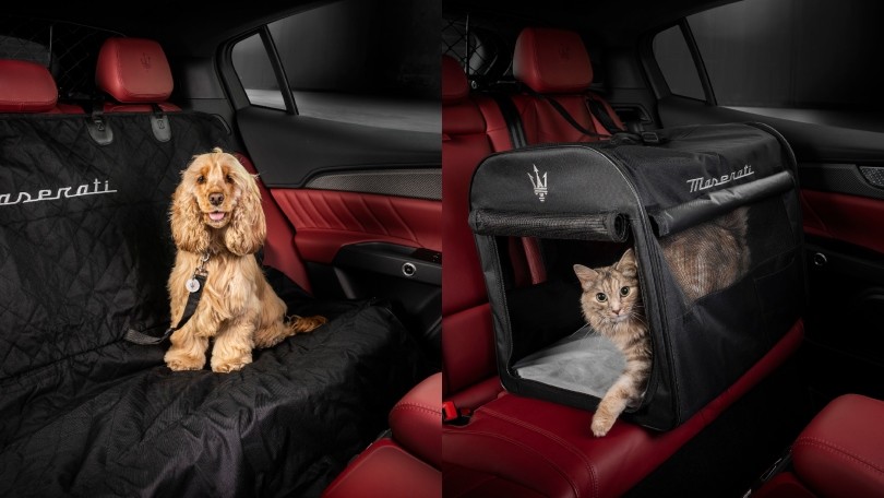 Maserati svela la nuova linea di accessori per gli animali domestici