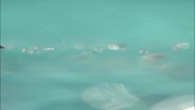 Aston Martin V12 Speedster: il video